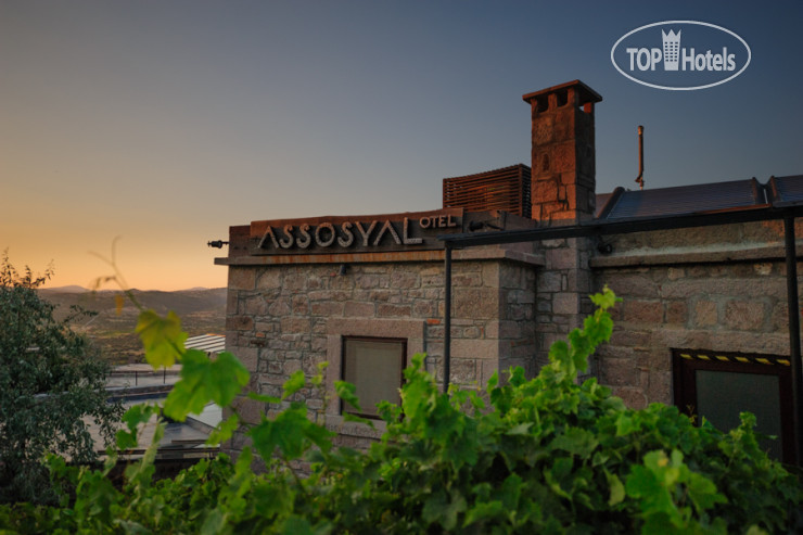Фото Assosyal Hotel