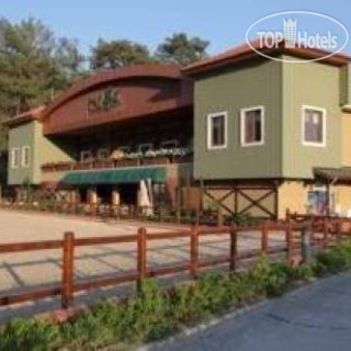 Фото Padok Premium Hotel and Stables