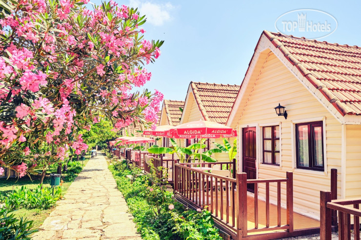 Hotel photo Clover Magic Nova Beach 3*