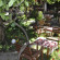 Photos Garden Hotel