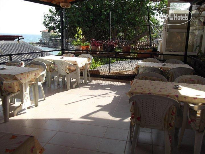 New photos from tourists Selen Motel