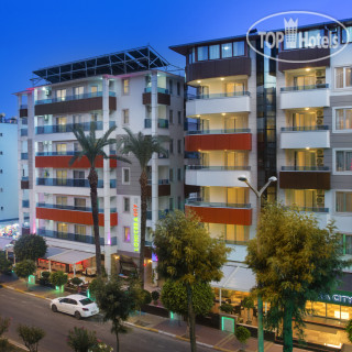 Lonicera City 3*