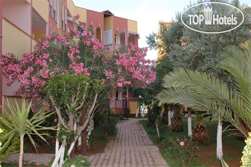 New photos from tourists Nicomedia 3*