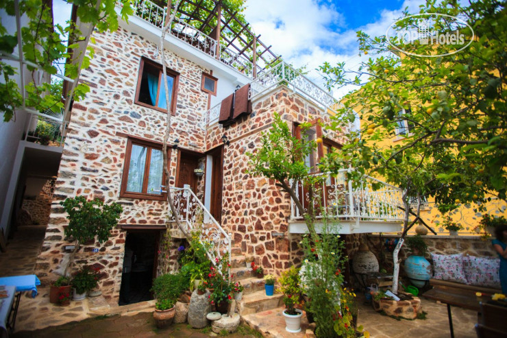 Hotelier's photos Lemon Villa
