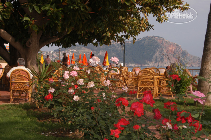Hotel photo Floria Beach Hotel 4*