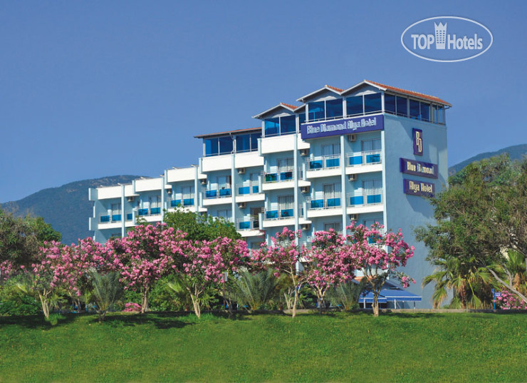 New photos from tourists Blue Diamond Alya Hotel 4*