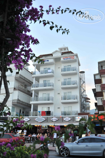 New photos from tourists Cleopatra Golden Beach 4*