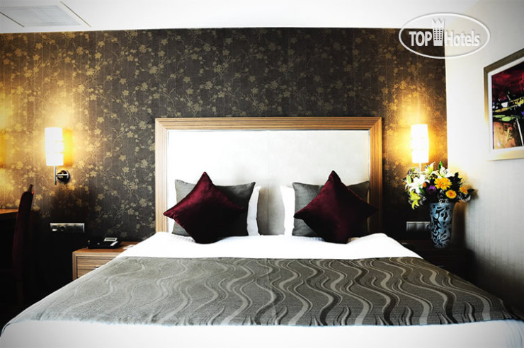 New photos from tourists Demora Hotel 4*