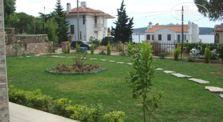 New photos from tourists Nefes Hotel