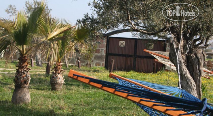 Фото Cunda Doga Hotel