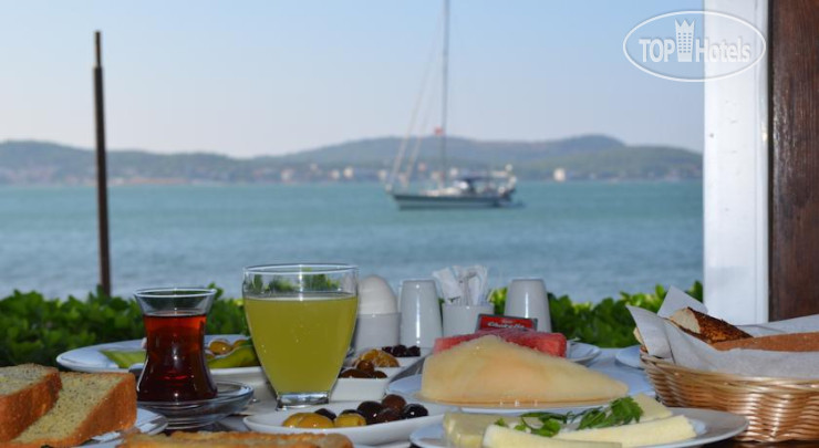 New photos from tourists Ezer Hotel