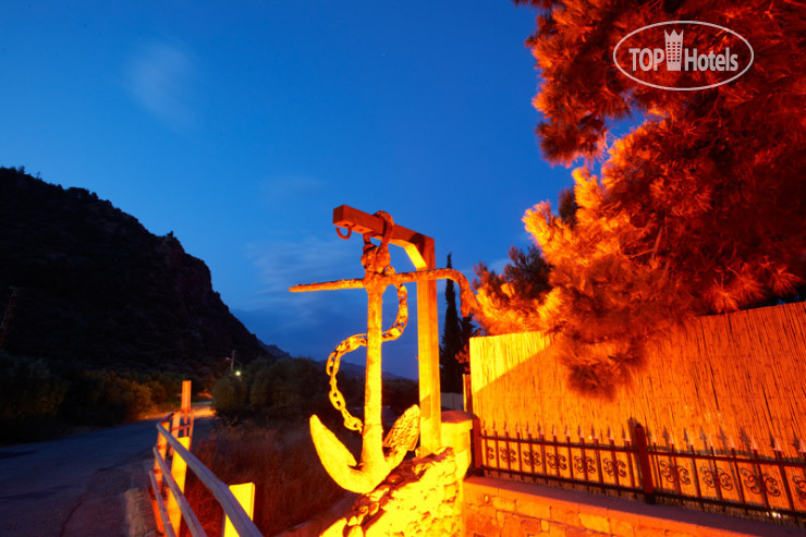 New photos from tourists Calidus Hotel