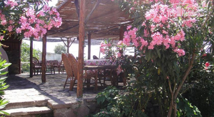 New photos from tourists Troas Motel