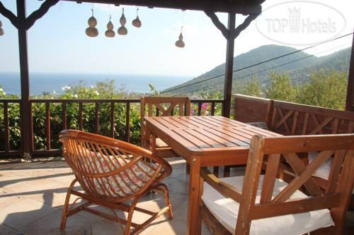 New photos from tourists Bougain Villa