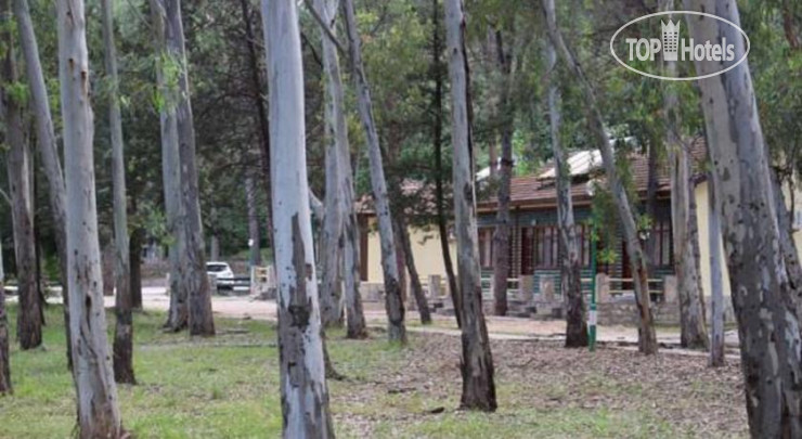 Новые добавленные фото туристов Lodges in Akyaka Kamp 