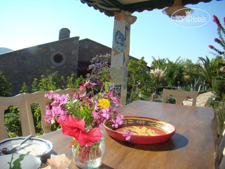 New photos from tourists Villa Narlidere