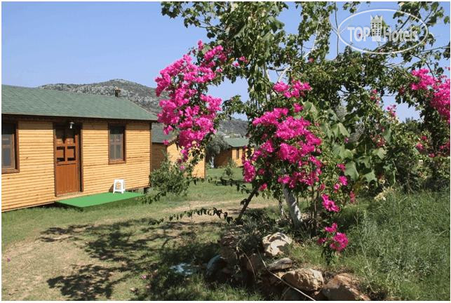 New photos from tourists Eytay Tatil Koyu Hotel