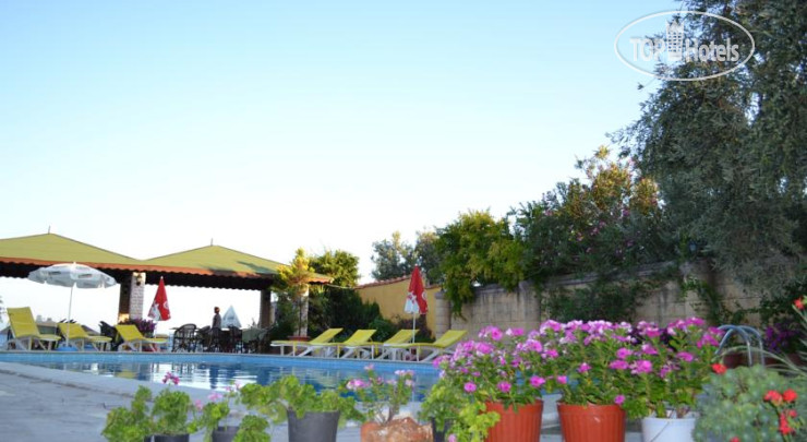 New photos from tourists Atila Motel