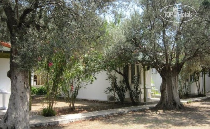 New photos from tourists Antandros Motel