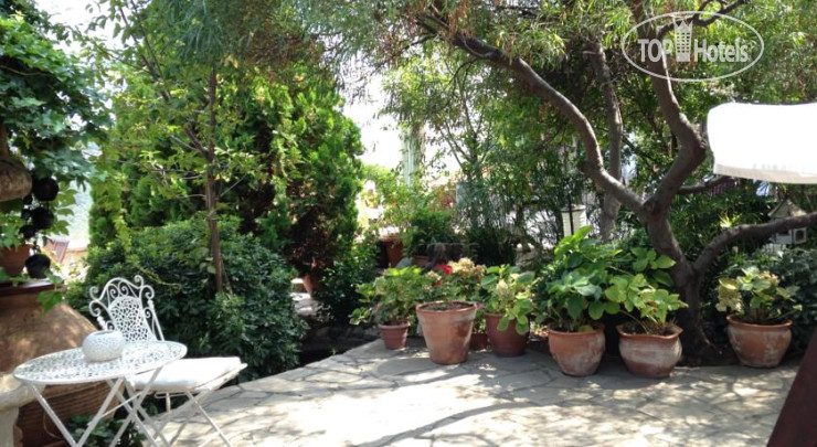 New photos from tourists Manici Kasri Hotel