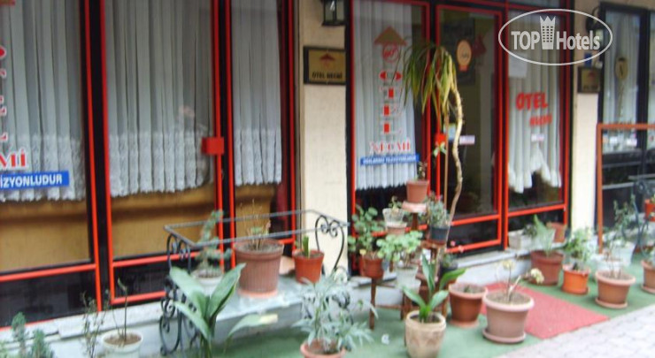 Hotelier's photos Necmi Hotel