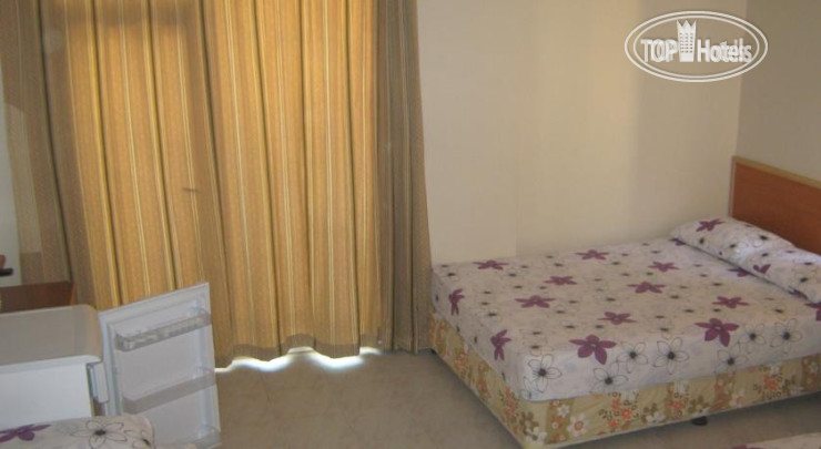 New photos from tourists Delfin Hotel
