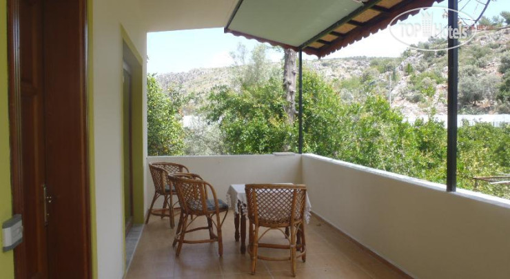 New photos from tourists Flower Apartment