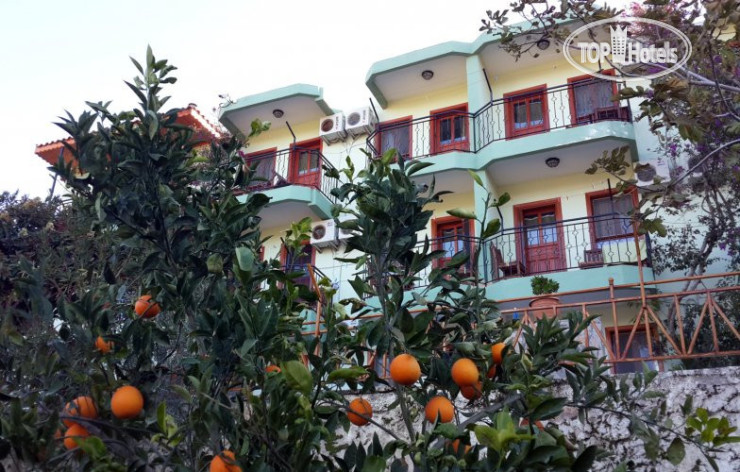 Hotelier's photos Patara Delfin Hotel