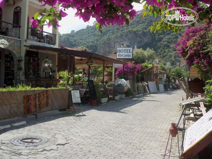 New photos from tourists Caria Hotel 3*