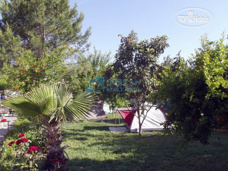 New photos from tourists Gurkan Apartment