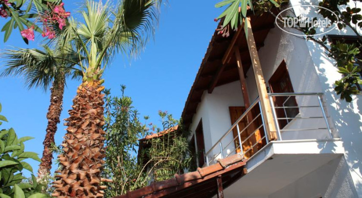 Hotel photo Turtle Beach Bungalows 