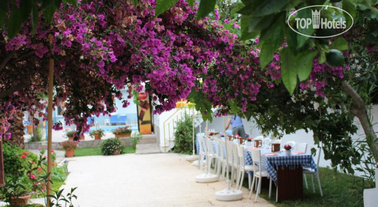 New photos from tourists Turtle Beach Bungalows