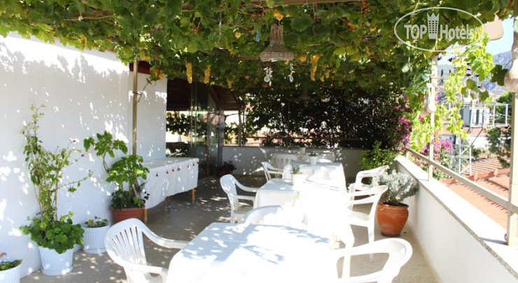 New photos from tourists Rose Pension