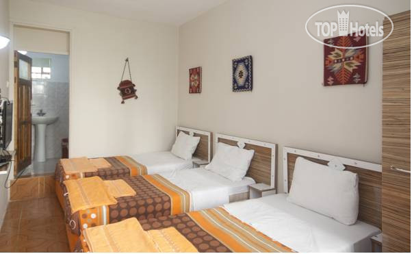 New photos from tourists Citi Hostel