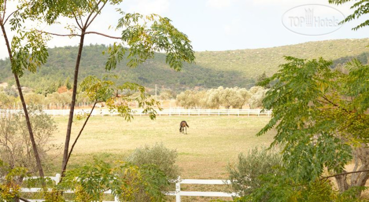 New photos from tourists Konvoy Hotel & The Country Club