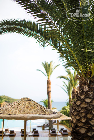New photos from tourists Club Marvy 5*