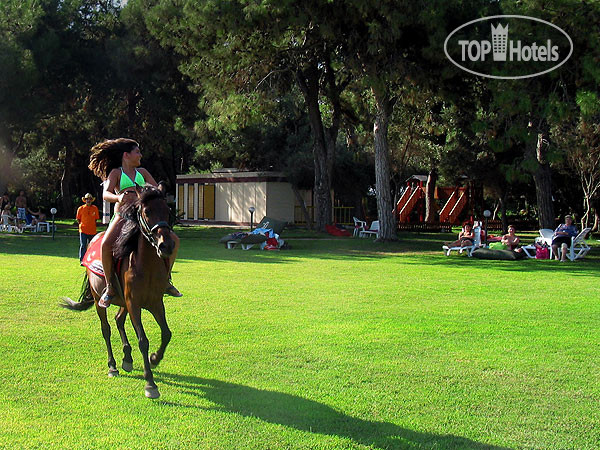 New photos from tourists Denizati Holiday Village 4*