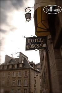 Photos Ajoncs d'Or