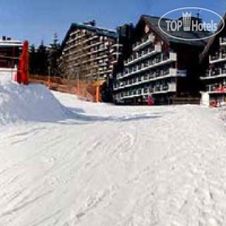 Фото Les Bleuets