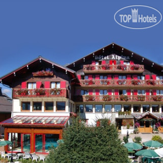 Фото Chalet Hotel Alpina