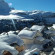 Фото Res. Excellence Hameau de Flaine