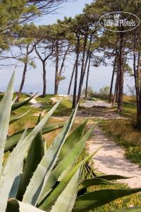 New photos from tourists Calvi 3*