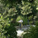 Photos Auberge de Noves