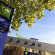 Photos All Seasons Parc des Expositions de Villepinte