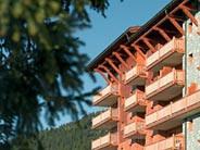 Hotelier's photos Les Alpages De Chantel_Mgm 4*
