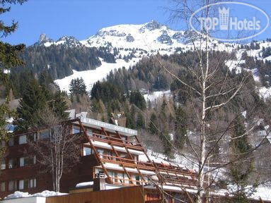 Hotelier's photos L Arcadien 3*