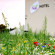 Photos Eco Nuit Guerande