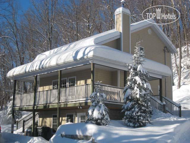 Hotelier's photos Chalet Des Ours Luxe APT