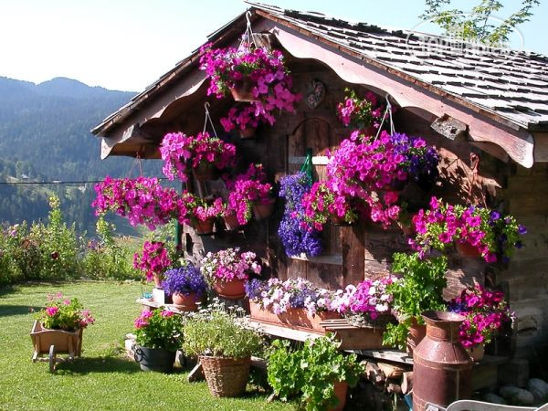 New photos from tourists L'Envala Chalet 3*
