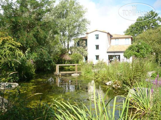 New photos from tourists Natura Resort Pescalis 3*